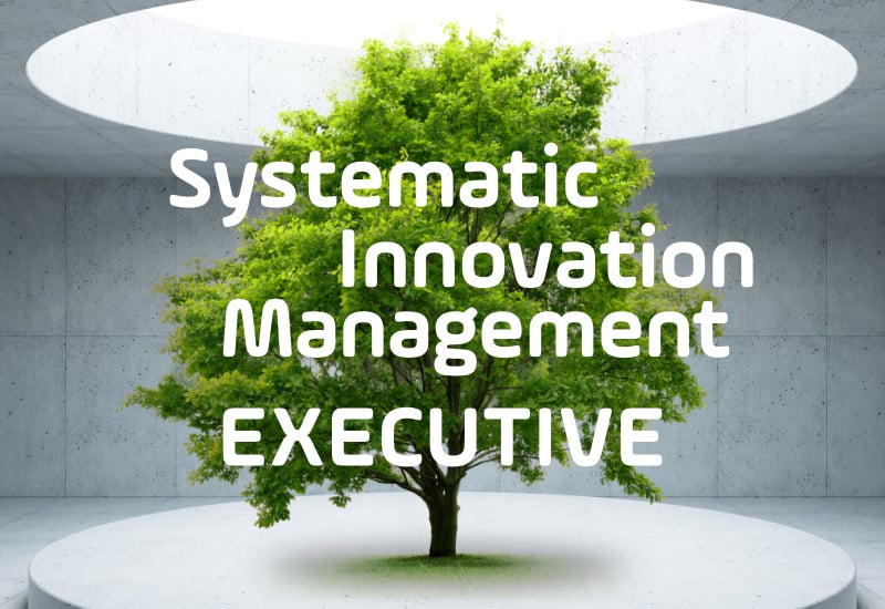 Systematic Innovation Management EXECUTIVE