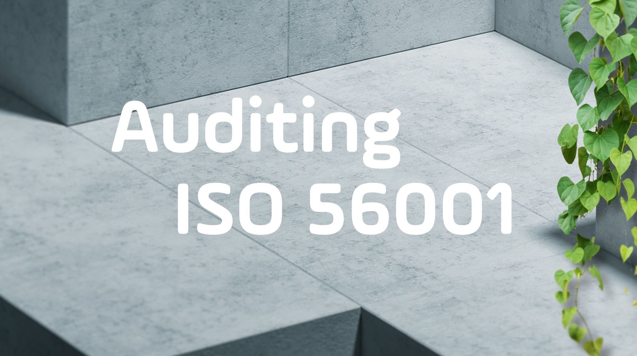 Auditing ISO 56001