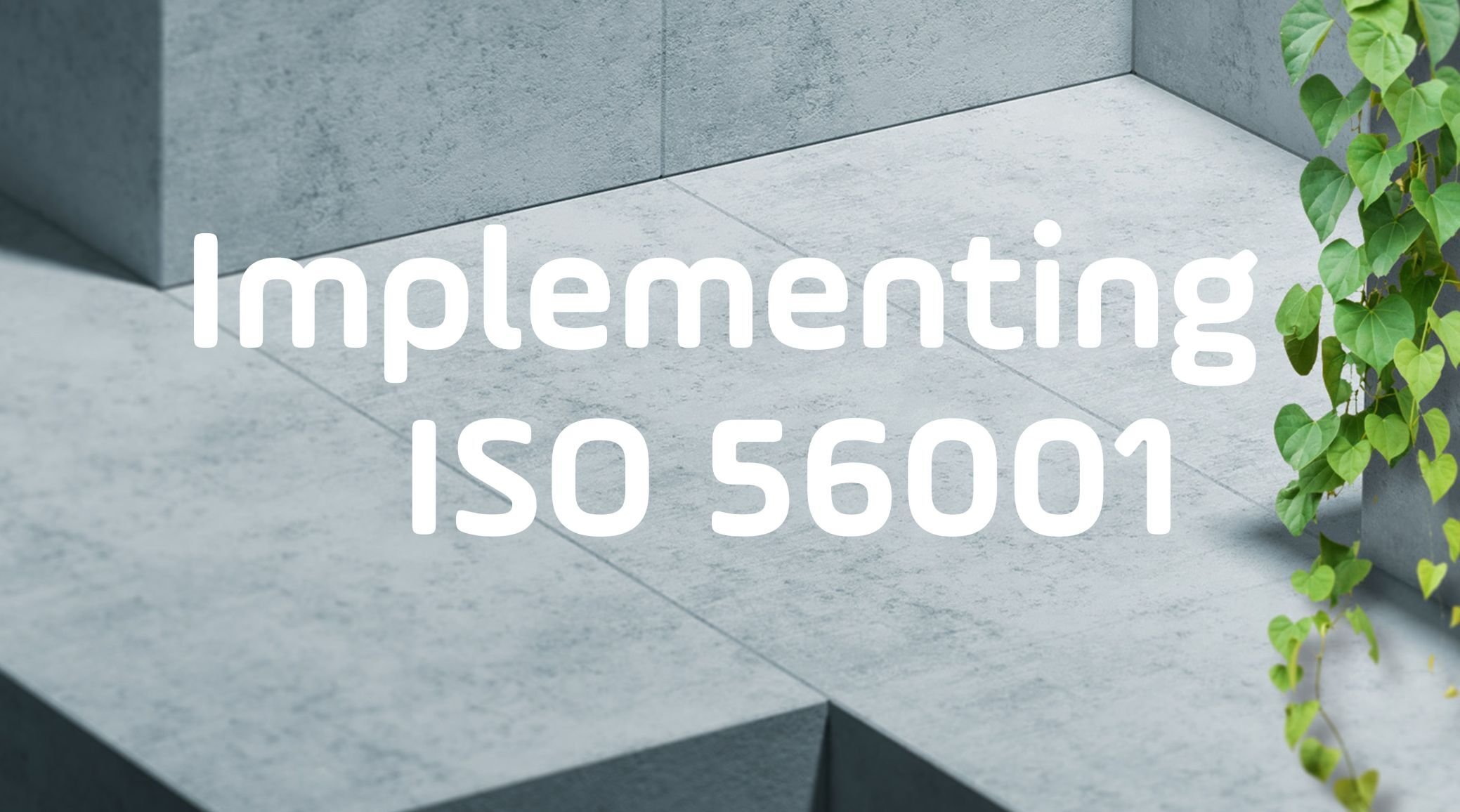 Implementing ISO 56001